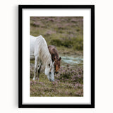 Rustic Horses Grazing Farmhouse Wall Art – Country Style Animal Decor