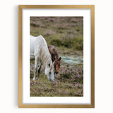 Rustic Horses Grazing Farmhouse Wall Art – Country Style Animal Decor