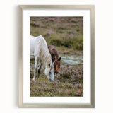 Rustic Horses Grazing Farmhouse Wall Art – Country Style Animal Decor