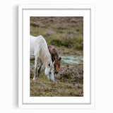 Rustic Horses Grazing Farmhouse Wall Art – Country Style Animal Decor