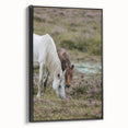 Rustic Horses Grazing Farmhouse Wall Art – Country Style Animal Decor