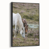 Rustic Horses Grazing Farmhouse Wall Art – Country Style Animal Decor