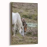 Rustic Horses Grazing Farmhouse Wall Art – Country Style Animal Decor