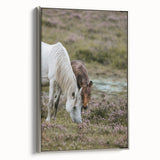 Rustic Horses Grazing Farmhouse Wall Art – Country Style Animal Decor