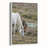 Rustic Horses Grazing Farmhouse Wall Art – Country Style Animal Decor