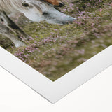 Rustic Horses Grazing Farmhouse Wall Art – Country Style Animal Decor