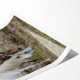 Rustic Horses Grazing Farmhouse Wall Art – Country Style Animal Decor