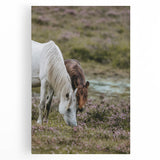 Rustic Horses Grazing Farmhouse Wall Art – Country Style Animal Decor