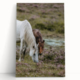Rustic Horses Grazing Farmhouse Wall Art – Country Style Animal Decor