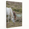 Rustic Horses Grazing Farmhouse Wall Art – Country Style Animal Decor