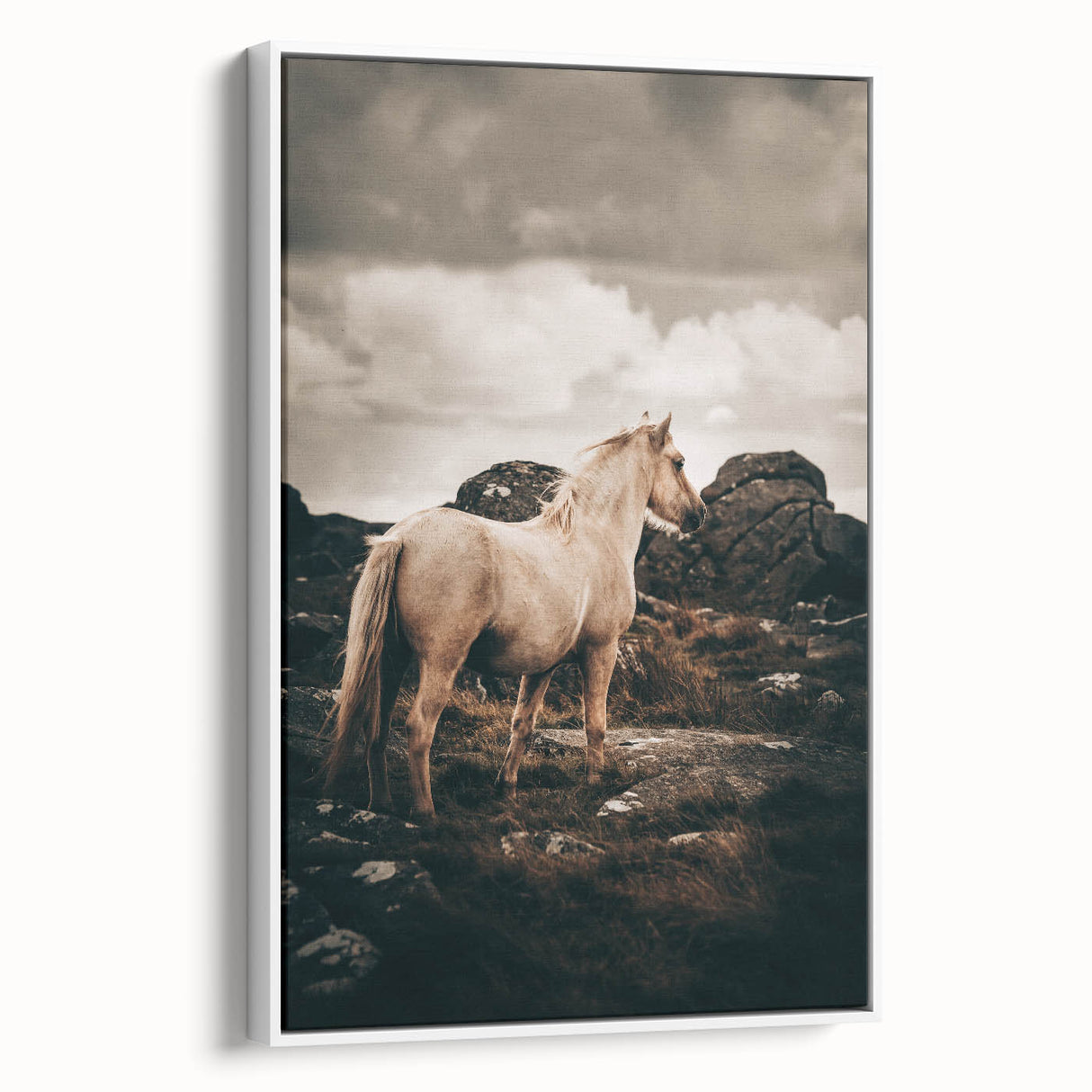 Rustic Horse in Rocky Landscape Farmhouse Wall Art – Country Style Decor