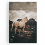 Rustic Horse in Rocky Landscape Farmhouse Wall Art – Country Style Decor