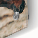 Rustic Horse Close-Up Farmhouse Wall Art – Country Style Decor