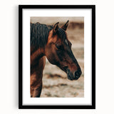 Rustic Horse Close-Up Farmhouse Wall Art – Country Style Decor