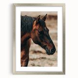 Rustic Horse Close-Up Farmhouse Wall Art – Country Style Decor