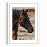 Rustic Horse Close-Up Farmhouse Wall Art – Country Style Decor