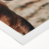 Rustic Horse Close-Up Farmhouse Wall Art – Country Style Decor