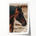 Rustic Horse Close-Up Farmhouse Wall Art – Country Style Decor