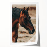 Rustic Horse Close-Up Farmhouse Wall Art – Country Style Decor