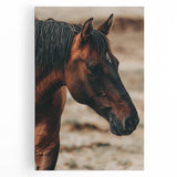 Rustic Horse Close-Up Farmhouse Wall Art – Country Style Decor