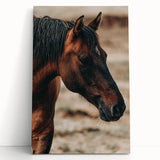 Rustic Horse Close-Up Farmhouse Wall Art – Country Style Decor