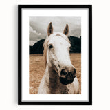 Rustic White Horse Close-Up Farmhouse Wall Art – Country Style Decor