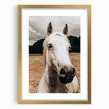 Rustic White Horse Close-Up Farmhouse Wall Art – Country Style Decor