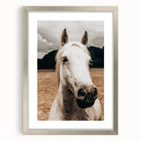 Rustic White Horse Close-Up Farmhouse Wall Art – Country Style Decor