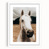 Rustic White Horse Close-Up Farmhouse Wall Art – Country Style Decor