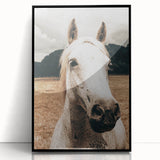 Rustic White Horse Close-Up Farmhouse Wall Art – Country Style Decor