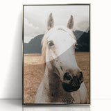 Rustic White Horse Close-Up Farmhouse Wall Art – Country Style Decor