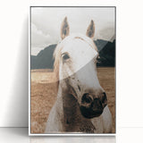 Rustic White Horse Close-Up Farmhouse Wall Art – Country Style Decor