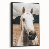 Rustic White Horse Close-Up Farmhouse Wall Art – Country Style Decor