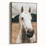 Rustic White Horse Close-Up Farmhouse Wall Art – Country Style Decor
