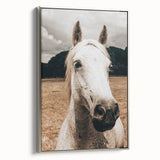 Rustic White Horse Close-Up Farmhouse Wall Art – Country Style Decor