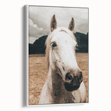 Rustic White Horse Close-Up Farmhouse Wall Art – Country Style Decor