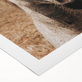 Rustic White Horse Close-Up Farmhouse Wall Art – Country Style Decor