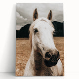 Rustic White Horse Close-Up Farmhouse Wall Art – Country Style Decor