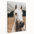 Rustic White Horse Close-Up Farmhouse Wall Art – Country Style Decor