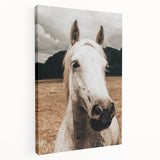 Rustic White Horse Close-Up Farmhouse Wall Art – Country Style Decor