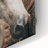 Rustic White Horse Portrait Farmhouse Wall Art – Country Style Decor