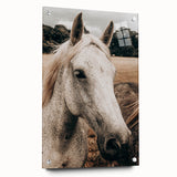 Rustic White Horse Portrait Farmhouse Wall Art – Country Style Decor