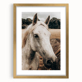Rustic White Horse Portrait Farmhouse Wall Art – Country Style Decor