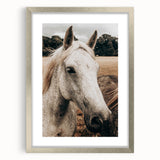 Rustic White Horse Portrait Farmhouse Wall Art – Country Style Decor