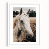 Rustic White Horse Portrait Farmhouse Wall Art – Country Style Decor