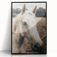 Rustic White Horse Portrait Farmhouse Wall Art – Country Style Decor