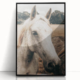 Rustic White Horse Portrait Farmhouse Wall Art – Country Style Decor