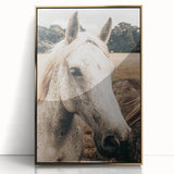 Rustic White Horse Portrait Farmhouse Wall Art – Country Style Decor