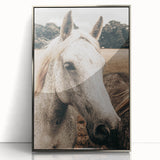 Rustic White Horse Portrait Farmhouse Wall Art – Country Style Decor