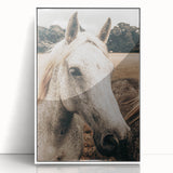 Rustic White Horse Portrait Farmhouse Wall Art – Country Style Decor